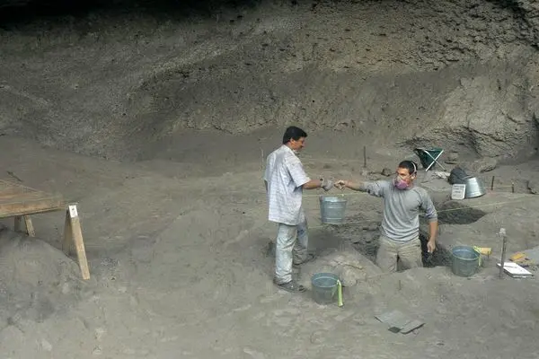 انسان برای اولین بار کی آووکادو خورد؟