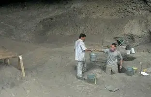 انسان برای اولین بار کی آووکادو خورد؟