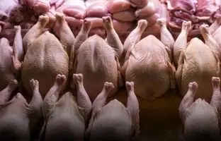 راهنمای بازار؛ قیمت گوشت مرغ، امروز ۲۴ اردیبهشت ۱۴۰۴
