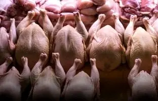 راهنمای بازار؛ قیمت گوشت مرغ، امروز ۲۴ اردیبهشت ۱۴۰۴
