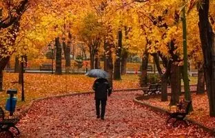 چند فضای شهری دل‌انگیز تهران برای تفریح در روزهای بارانی