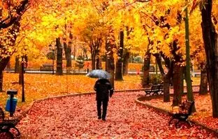 چند فضای شهری دل‌انگیز تهران برای تفریح در روزهای بارانی