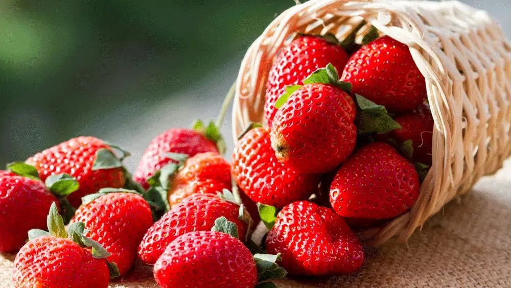 این میوه داروی درمان کبد چرب و دیابت است