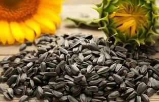 خواص تخمه آفتابگردان برای سلامتی؛ یک دانه کوچک با فواید بی‌نظیر