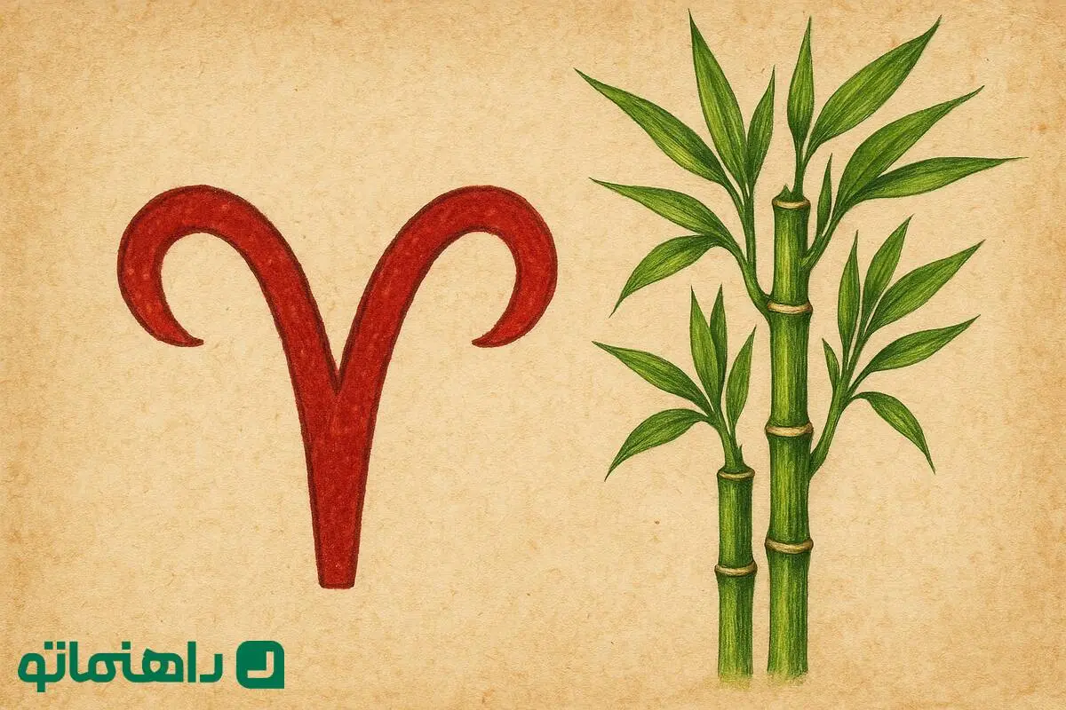 گیاهی که خیر و برکت رو به خونه فروردین ماهی‌ها میاره!