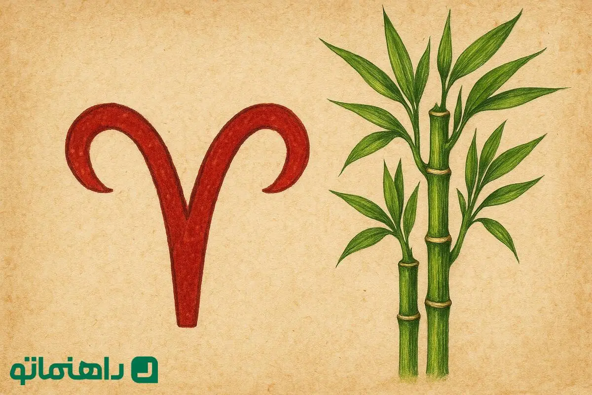 گیاهی که خیر و برکت رو به خونه فروردین ماهی‌ها میاره!