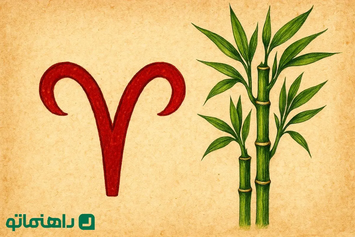 گیاهی که خیر و برکت رو به خونه فروردین ماهی‌ها میاره!