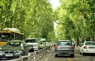 عکس قدیمی: ظاهر چنارها، عابران، خودروها و خیابان ولیعصر در دهه 40 