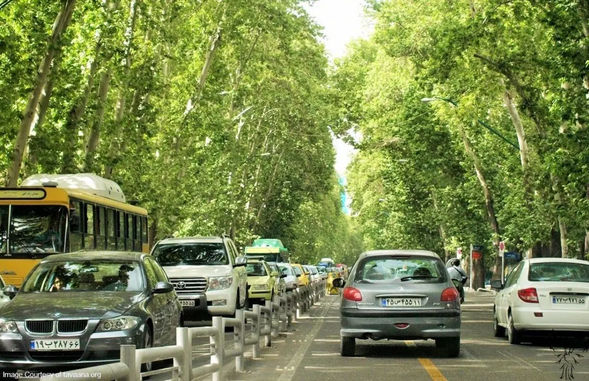عکس قدیمی: ظاهر چنارها، عابران، خودروها و خیابان ولیعصر در دهه 40 