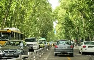 عکس قدیمی: ظاهر چنارها، عابران، خودروها و خیابان ولیعصر در دهه 40 