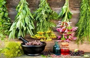 نکات ایمنی در مورد مصرف گیاهان دارویی + ویدئو