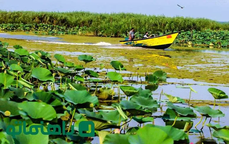 تالاب‌های بکر مازندران؛ بهشتی برای طبیعت‌گردان در ماه آخر تابستان