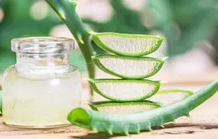 خواص شگفت‌انگیز آلوئه‌ورا برای سلامتی