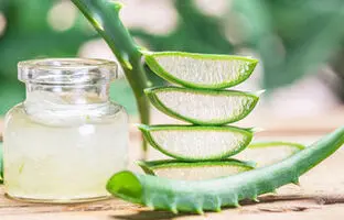 خواص شگفت‌انگیز آلوئه‌ورا برای سلامتی