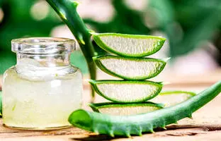 خواص شگفت‌انگیز آلوئه‌ورا برای سلامتی