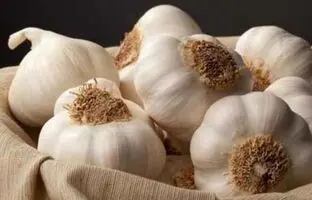 خواص سیر خام و پخته؛ تفاوت‌ها، فواید و نکات مهم برای سلامتی