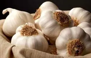 خواص سیر خام و پخته؛ تفاوت‌ها، فواید و نکات مهم برای سلامتی