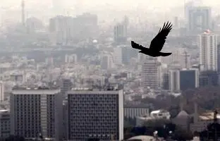 وضعیت آلودگی هوای تهران امروز شنبه ۸ دی