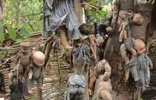 جزیره‌ی عروسک‌ها در مکزیک؛ جاذبه‌ای هولناک با پیشینه‌ای غم‌انگیز + ویدئو