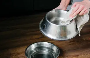 ترفند ساده برای برق انداختن ظروف استیل