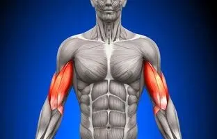 پروتئین‌های ارزان قیمت برای عضله‌سازی