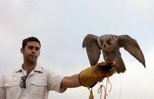 ولخرجی عجیب شاهزاده سعودی؛ پرواز ۸۰ شاهین در یک پرواز تجاری!