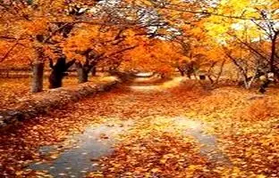 در پاییز به کجا سفر کنیم؟