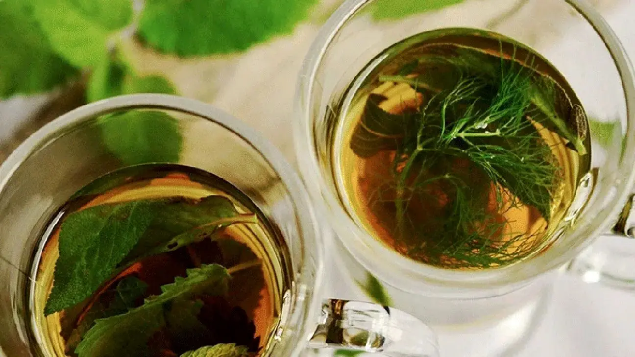  چای برگ انجیر؛ فواید و طرز تهیه آن 