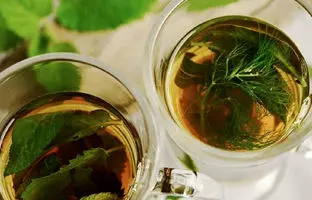  چای برگ انجیر؛ فواید و طرز تهیه آن 