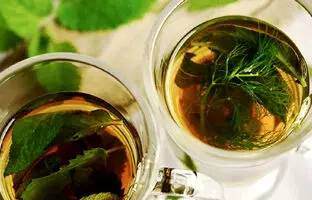  چای برگ انجیر؛ فواید و طرز تهیه آن 