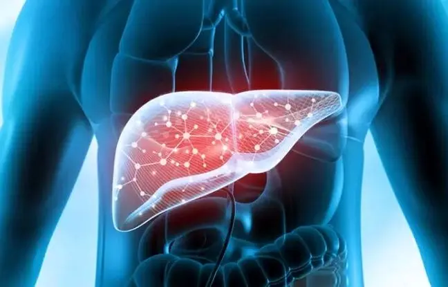 سلامت کبد به این ویتامین‌ها نیاز دارد