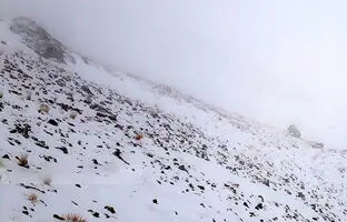 (ویدئو) لحظه سقوط وحشتناک الاغ عشایر با بار از کوه