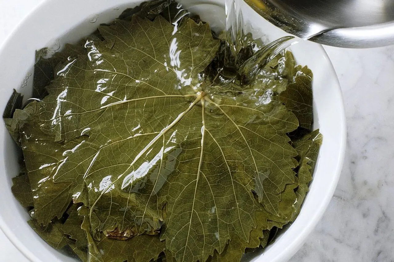 خوشمزه بپزید؛ بلانچ کردن سبزیجات یعنی چه؟ + آموزش بلانچ کردن برگ مو برای نگهداری طولانی مدت در فریزر