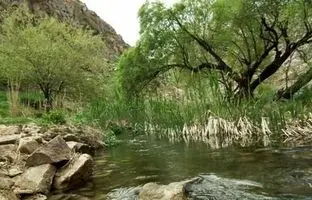 همسفر با بهار به پارک‌های مشهد؛ ۴ پارک جنگلی برای روزهای آخر هفته