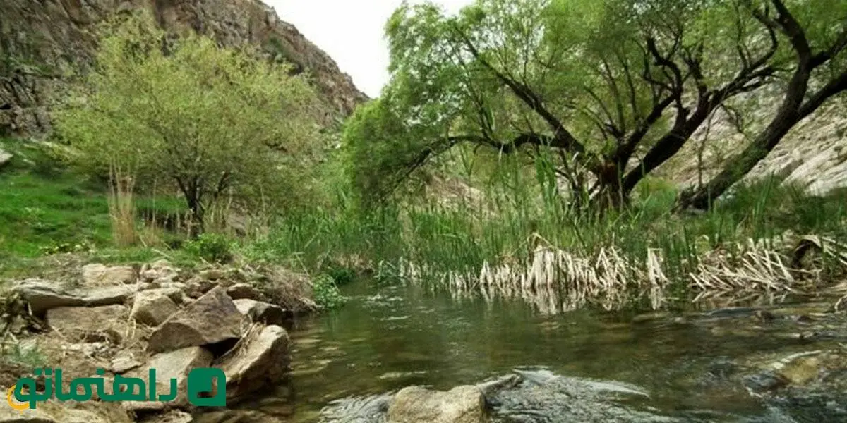 همسفر با بهار به پارک‌های مشهد؛ ۴ پارک جنگلی برای روزهای آخر هفته