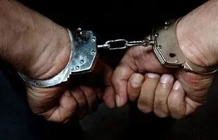 لحظه بازداشت معاون پیشین وزیر دفاع انگلیس به اتهام آزار کودکان + ویدئو