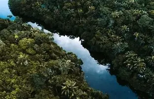 زبان عجیبی که در آن خبری از اعداد نیست!