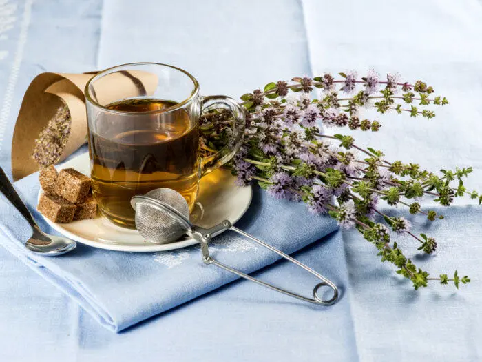 خواص پونه کوهی چیست ؟ بهترین زمان های مصرف پونه کوهی