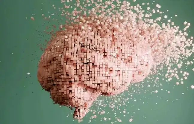 آیا امکان بازیابی خاطرات مغز انسان پس از مرگ وجود دارد؟ + ویدئو