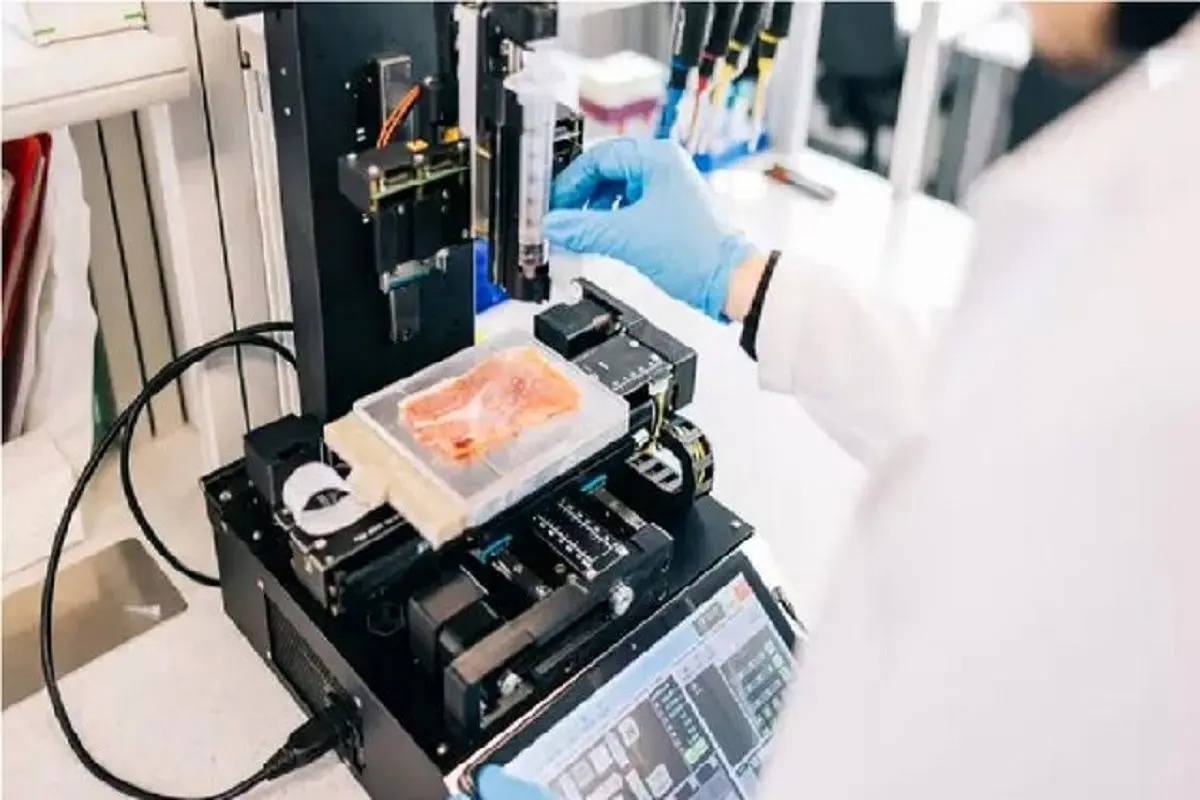 ساخت و پخت همزمان غذا با چاپگر ۳بعدی جدید چینی‌ها 