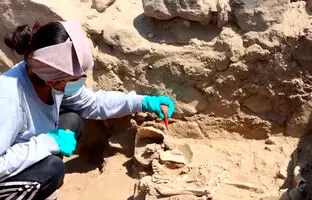 (ویدئو) کشف بقایای انسانی متعلق به ۳۸۰۰ سال پیش در معبدی باستانی در پرو 