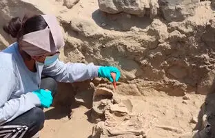 (ویدئو) کشف بقایای انسانی متعلق به ۳۸۰۰ سال پیش در معبدی باستانی در پرو 
