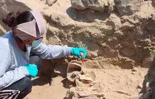 (ویدئو) کشف بقایای انسانی متعلق به ۳۸۰۰ سال پیش در معبدی باستانی در پرو 