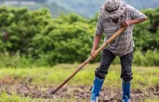 متفاوت‌ترین مزرعه جهان اینجاست؛ وسط یک شهرک مسکونی + عکس