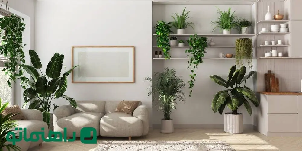 8 گیاه آپارتمانی ترند برای دکوراسیون منزل در سال 1404