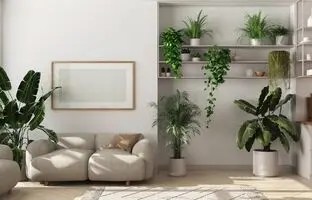 8 گیاه آپارتمانی ترند برای دکوراسیون منزل در سال 1404