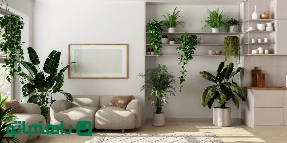 8 گیاه آپارتمانی ترند برای دکوراسیون منزل در سال 1404