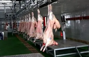 قیمت گوشت قرمز، امروز چهارشنبه ۱۰ بهمن ۱۴۰۳
