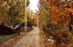 سفر به روستای افجه؛ سرزمین باغ‌ها و میوه‌های بهشتی
