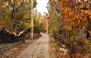 سفر به روستای افجه؛ سرزمین باغ‌ها و میوه‌های بهشتی
